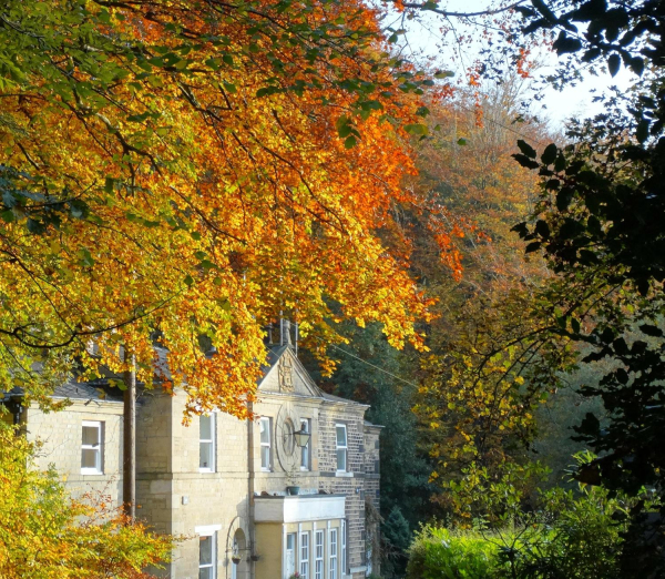 Nuttall Cottages 
17-Buildings and the Urban Environment-05-Street Scenes-018-Nuttall Hall Road Cottages
Keywords: 2016