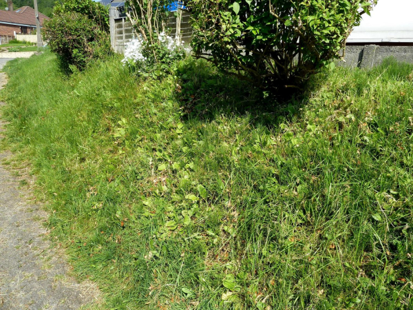 Bank near Carr Bank Avenue in autumn
17-Buildings and the Urban Environment-05-Street Scenes-006-Carr Street and Tanners area
Keywords: 2016