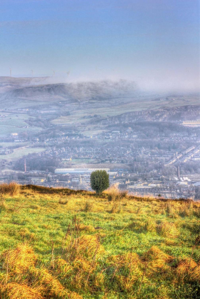 Ramsbottom from Holcombe Hill - Lone bush 
18-Agriculture and the Natural Environment-03-Topography and Landscapes-001-Holcombe Hill
Keywords: 2016