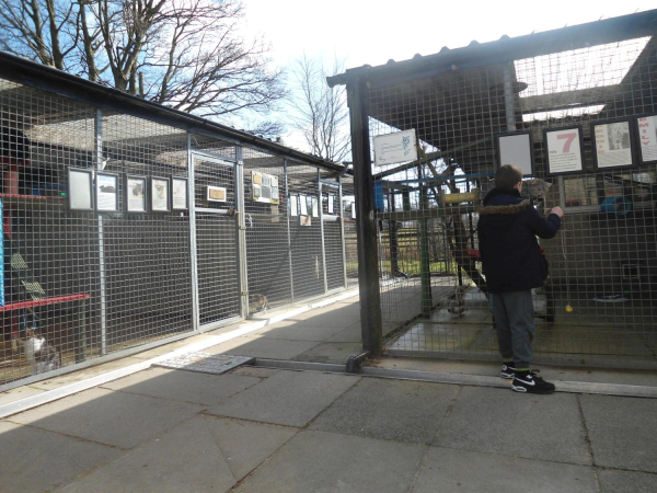 BleakHolt Farm Cattery Block
19-Animals and Plants-01-General-001-Bleakholt Animal Sanctuary
Keywords: 2016
