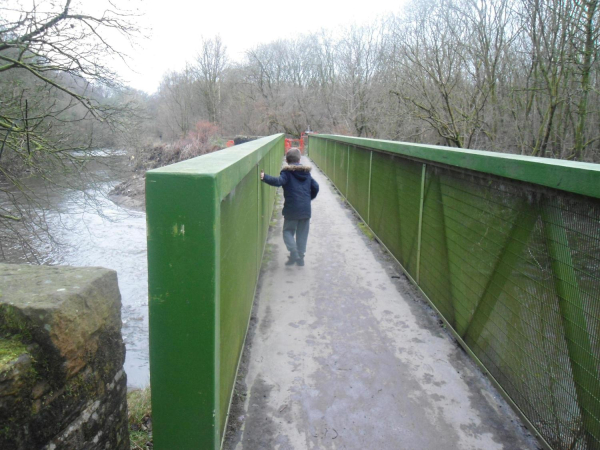 It's a bit high Iron Bridge Nuttall Park
14-Leisure-01-Parks and Gardens-001-Nuttall Park General
Keywords: 2016