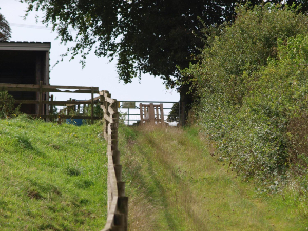 Path up to Grants Tower
08- History-01-Monuments-001-Grant's Tower
Keywords: 2016