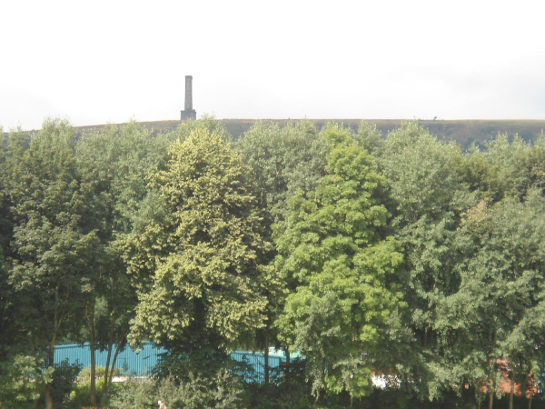 Peel Tower from Nuttall Park
14-Leisure-01-Parks and Gardens-001-Nuttall Park General
Keywords: 2016