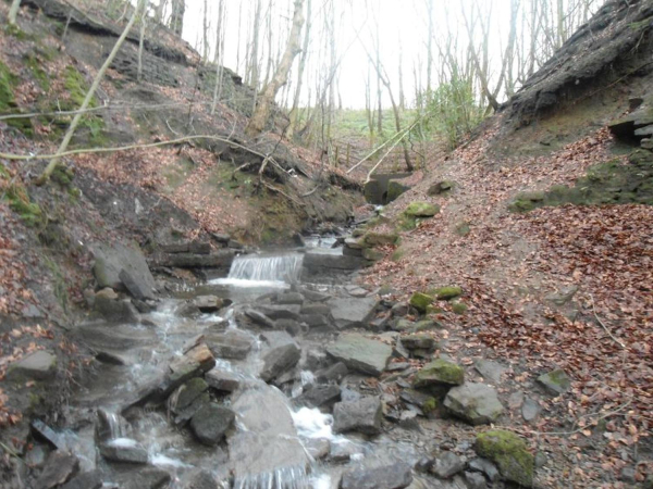 Stream at top of water fall Nuttall Park 1
14-Leisure-01-Parks and Gardens-001-Nuttall Park General
Keywords: 2016