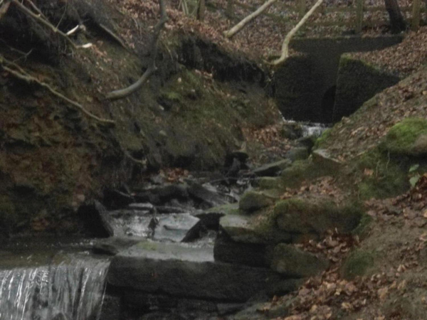 Stream at top of water fall Nuttall Park 1
14-Leisure-01-Parks and Gardens-001-Nuttall Park General
Keywords: 2016