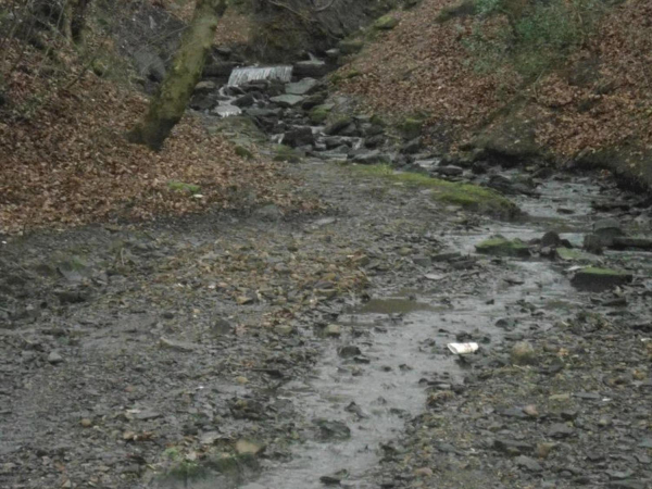 Stream at top of water fall Nuttall Park 1
14-Leisure-01-Parks and Gardens-001-Nuttall Park General
Keywords: 2016