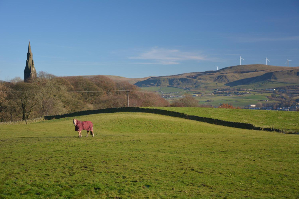 Holcombe Church
06-Religion-01-Church Buildings-003-Church of England -  Emmanuel, Holcombe
Keywords: 2016