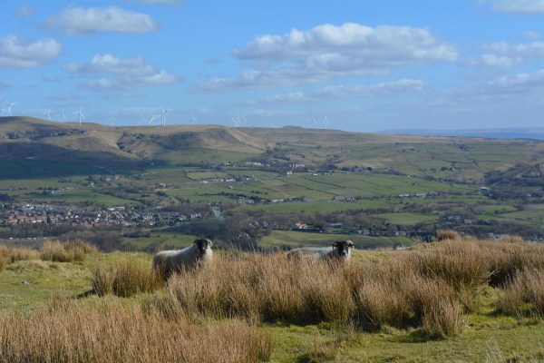 Elen Strange stone, Holcombe Moor, March 16  
to be catalogued
Keywords: 2016