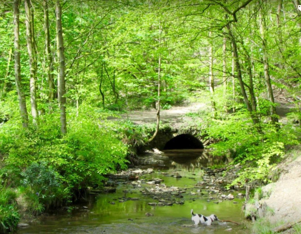 Redisher Woods 
17-Buildings and the Urban Environment-05-Street Scenes-013-Holcombe Brook Area
Keywords: 2016