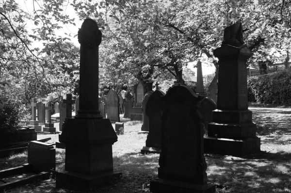 Ramsbottom Cemetery
17-Buildings and the Urban Environment-05-Street Scenes-007-Cemetery Road
Keywords: 2016