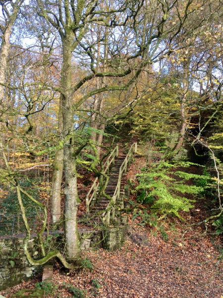 Jacobs Ladder, Nuttall Park
14-Leisure-01-Parks and Gardens-001-Nuttall Park General
Keywords: 2017