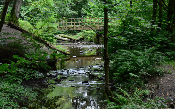 Redisher Woods 
17-Buildings and the Urban Environment-05-Street Scenes-013-Holcombe Brook Area
Keywords: 2017