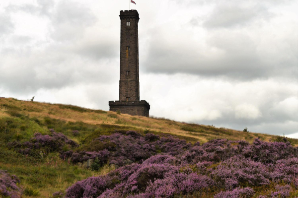 Heather on the hill Tower open in August
18-Agriculture and the Natural Environment-03-Topography and Landscapes-001-Holcombe Hill
Keywords: 2017