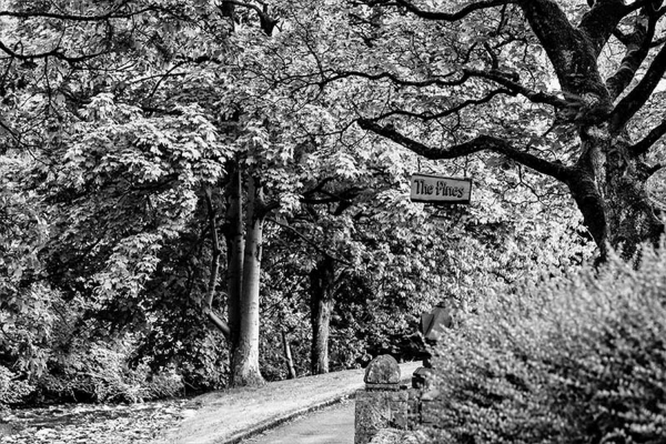 The Pines in Summerseat 
17-Buildings and the Urban Environment-05-Street Scenes-028-Summerseat Area
Keywords: 2017