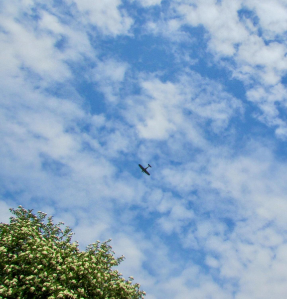 a Spitfire at the 1940s Weekend 
14-Leisure-04-Events-003-1940s weekends
Keywords: 2018