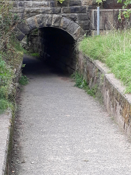 Tunnel leading from Nuttall Park to Cormar Carpets
14-Leisure-01-Parks and Gardens-001-Nuttall Park General
Keywords: 2018