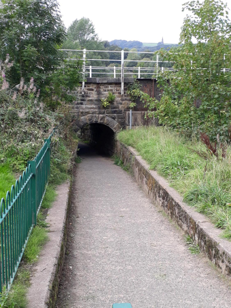 Tunnel leading from Nuttall Park to Cormar Carpets
14-Leisure-01-Parks and Gardens-001-Nuttall Park General
Keywords: 2018