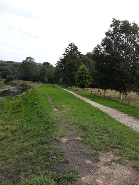 Flood defence growing over nicely
14-Leisure-01-Parks and Gardens-001-Nuttall Park General
Keywords: 2018