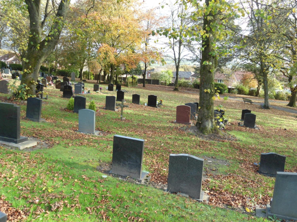 Ramsbottom Cemetery
17-Buildings and the Urban Environment-05-Street Scenes-007-Cemetery Road
Keywords: 2018