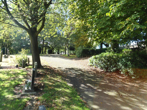 Path leading out of cemetery
17-Buildings and the Urban Environment-05-Street Scenes-007-Cemetery Road
Keywords: 2018