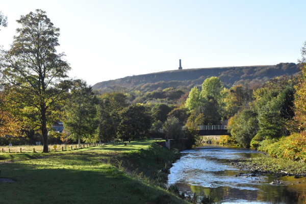 Highly Commended - Peel Tower from Nuttall Park
14-Leisure-01-Parks and Gardens-001-Nuttall Park General
Keywords: 2018