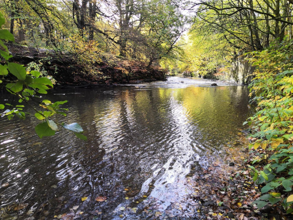 River Irwell near Nutall Park.? 
17-Buildings and the Urban Environment-05-Street Scenes-019-Nuttall area
Keywords: 2018