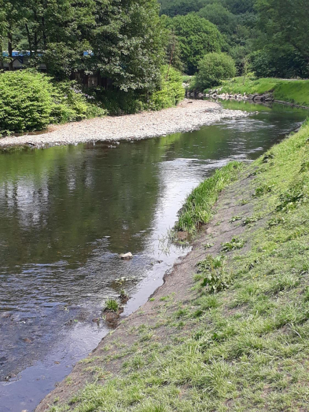 Flood defence on River Irewell Nuttall Park
14-Leisure-01-Parks and Gardens-001-Nuttall Park General
Keywords: 2018