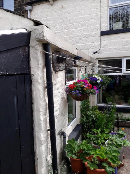 Garden in a Back Yard 
17-Buildings and the Urban Environment-05-Street Scenes-000-General
Keywords: 2018