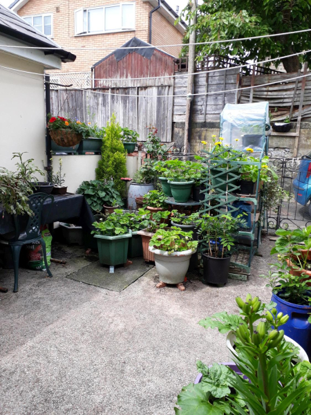 Garden in a Back Yard 
17-Buildings and the Urban Environment-05-Street Scenes-000-General
Keywords: 2018