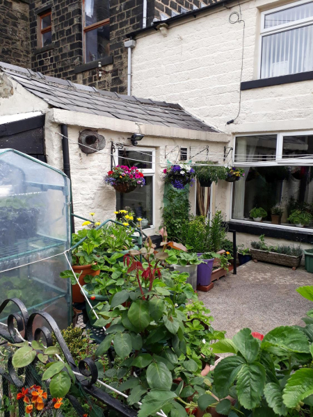 Garden in a Back Yard 
17-Buildings and the Urban Environment-05-Street Scenes-000-General
Keywords: 2018