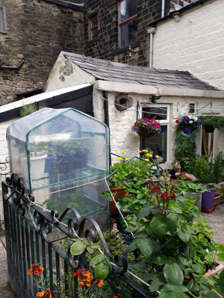 Garden in a Back Yard 
17-Buildings and the Urban Environment-05-Street Scenes-000-General
Keywords: 2018