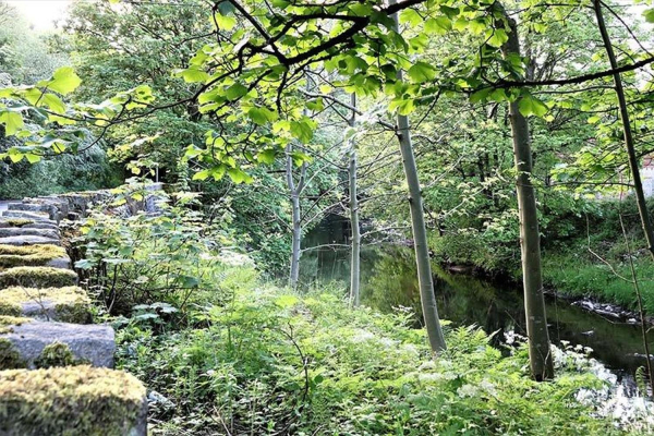 Walk By The River in Summerseat 
17-Buildings and the Urban Environment-05-Street Scenes-028-Summerseat Area
Keywords: 2018