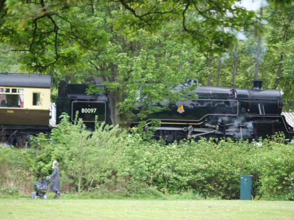 Steam Train Nuttall Park 
14-Leisure-01-Parks and Gardens-001-Nuttall Park General
Keywords: 2019