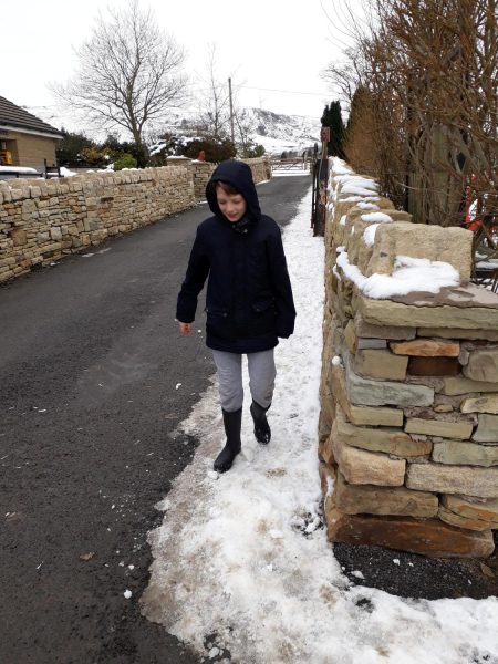 Bleakholt Animal Sanctuary in snow
19-Animals and Plants-01-General-001-Bleakholt Animal Sanctuary
Keywords: 2019