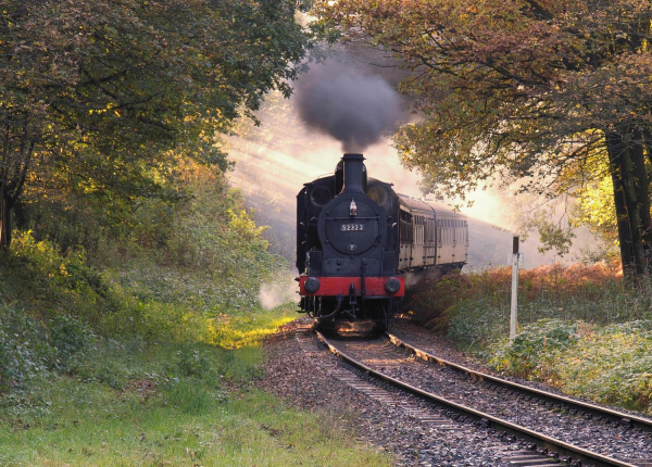 Train Through The Trees Approaching Summerseat ? Taken at the Wood Road crossing in October.
16-Transport-03-Trains and Railways-000-General
Keywords: 2019