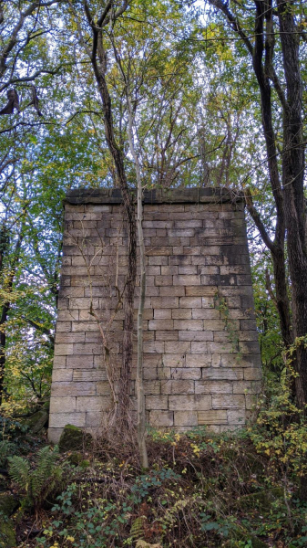 Nuttall Chimney before trees were taken down 
17-Buildings and the Urban Environment-05-Street Scenes-019-Nuttall area
Keywords: 2020