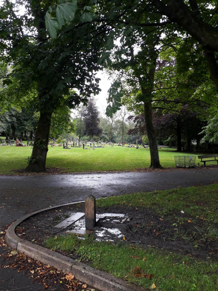 Ramsbottom Cemetery
17-Buildings and the Urban Environment-05-Street Scenes-007-Cemetery Road
Keywords: 2020