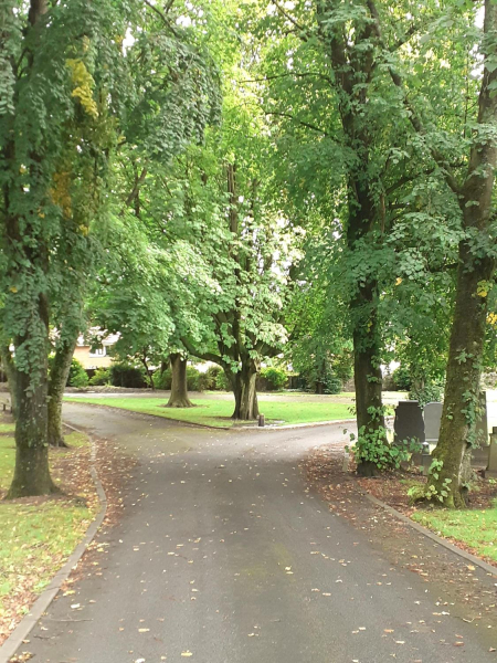 Ramsbottom Cemetery
17-Buildings and the Urban Environment-05-Street Scenes-007-Cemetery Road
Keywords: 2020