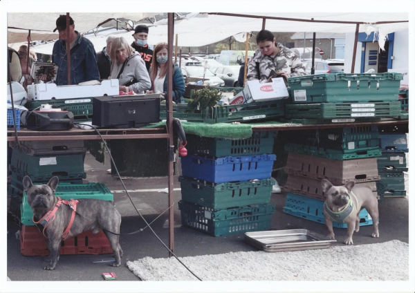 Ramsbottom Market Fruit stall with dogs
14-Leisure-04-Events-006-Markets
Keywords: 2021