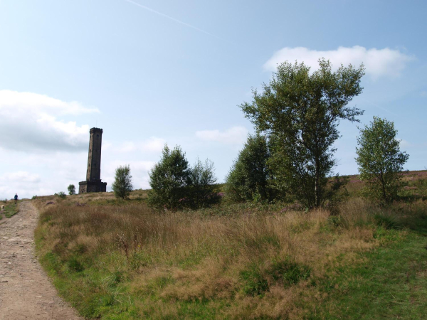 Trees and Peel Tower 
08- History-01-Monuments-002-Peel Tower
Keywords: 2021