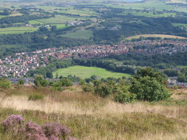 Top Park and Whittingham Drive Estate  from Holcombe Hill
18-Agriculture and the Natural Environment-03-Topography and Landscapes-001-Holcombe Hill
Keywords: 2021