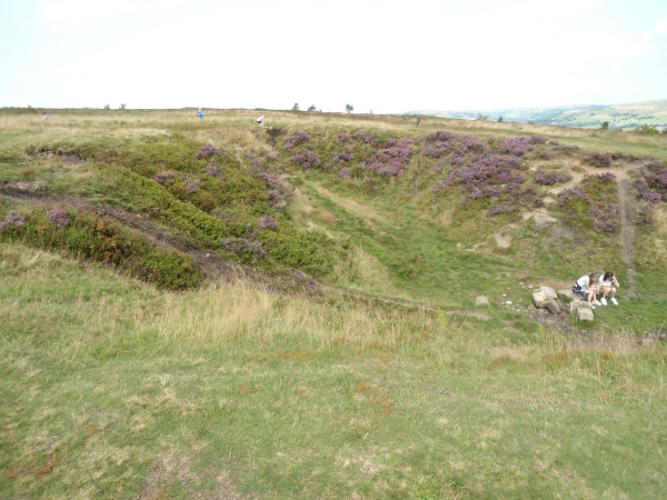 Crater side of Tower 
18-Agriculture and the Natural Environment-03-Topography and Landscapes-001-Holcombe Hill
Keywords: 2021