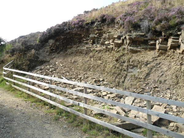 Corrosion on side of Hill  
18-Agriculture and the Natural Environment-03-Topography and Landscapes-001-Holcombe Hill
Keywords: 2021