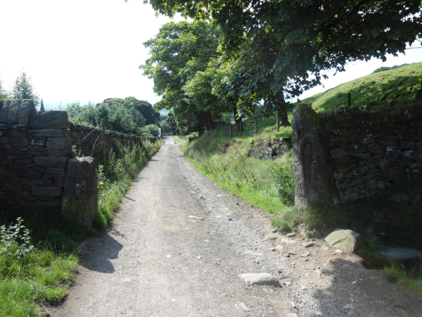 Old Gate Posts Bottom Road  
18-Agriculture and the Natural Environment-03-Topography and Landscapes-001-Holcombe Hill
Keywords: 2021