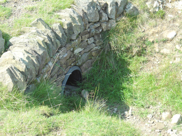 Culvert Holcombe Hill  
18-Agriculture and the Natural Environment-03-Topography and Landscapes-001-Holcombe Hill
Keywords: 2021