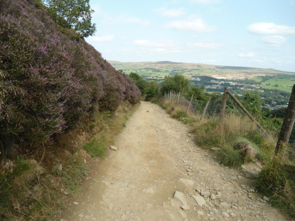 Path leading down side of Holcombe Hill  
18-Agriculture and the Natural Environment-03-Topography and Landscapes-001-Holcombe Hill
Keywords: 2021