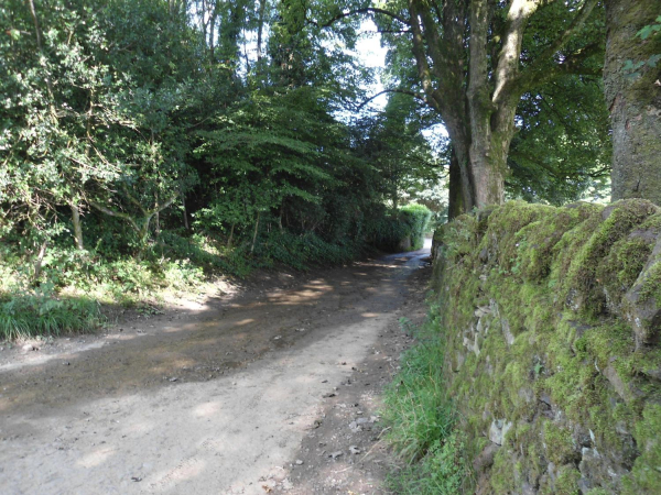 Moorbottom Road leading to Cross Street  
18-Agriculture and the Natural Environment-03-Topography and Landscapes-001-Holcombe Hill
Keywords: 2021