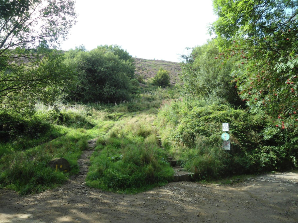 Marker Stone showing way to the Tower  
18-Agriculture and the Natural Environment-03-Topography and Landscapes-001-Holcombe Hill
Keywords: 2021