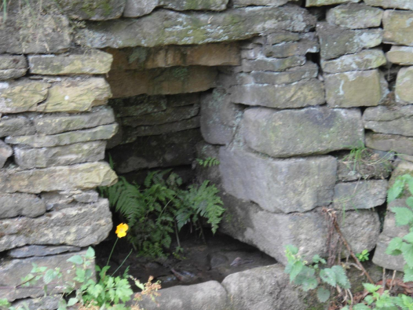 Old Well bottom of Holcombe Hill  
18-Agriculture and the Natural Environment-03-Topography and Landscapes-001-Holcombe Hill
Keywords: 2021