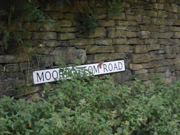 Moorbottom Sign  
18-Agriculture and the Natural Environment-03-Topography and Landscapes-001-Holcombe Hill
Keywords: 2021